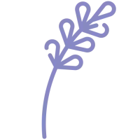 picto lavande
